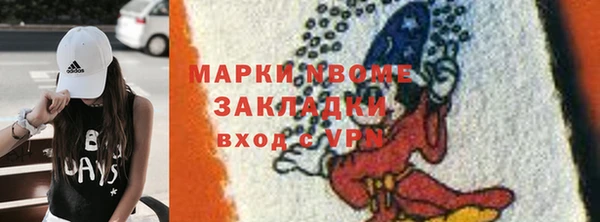 амф Верхний Тагил