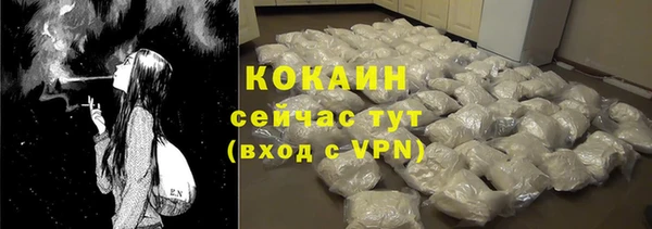 амф Верхний Тагил