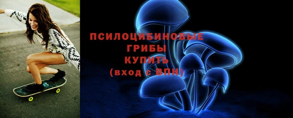 бошки Верея