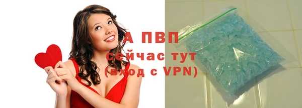 амф Верхний Тагил