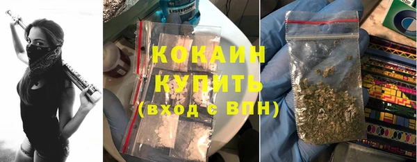 бошки Верея