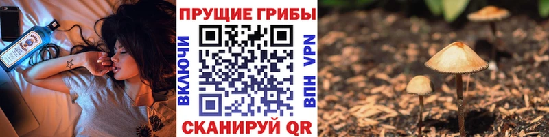 Псилоцибиновые грибы прущие грибы  Завитинск 